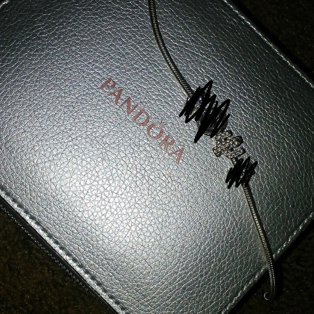 Pandora Bracelet with Cactus Charm